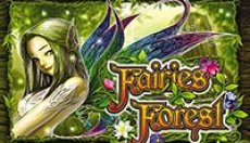 Fairies Forest (Фея Лес)