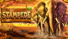 Stampede (паническое бегство)