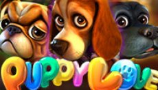 Puppy Love Plus (Пуппи лов плюс)