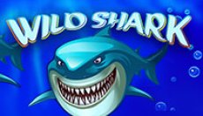 Wild Shark (Дикая акула)