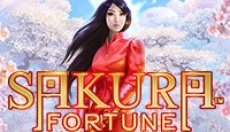 Sakura Fortune (Сакура Фортуна)