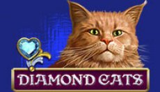 Diamond Cats (Алмазные кошки)